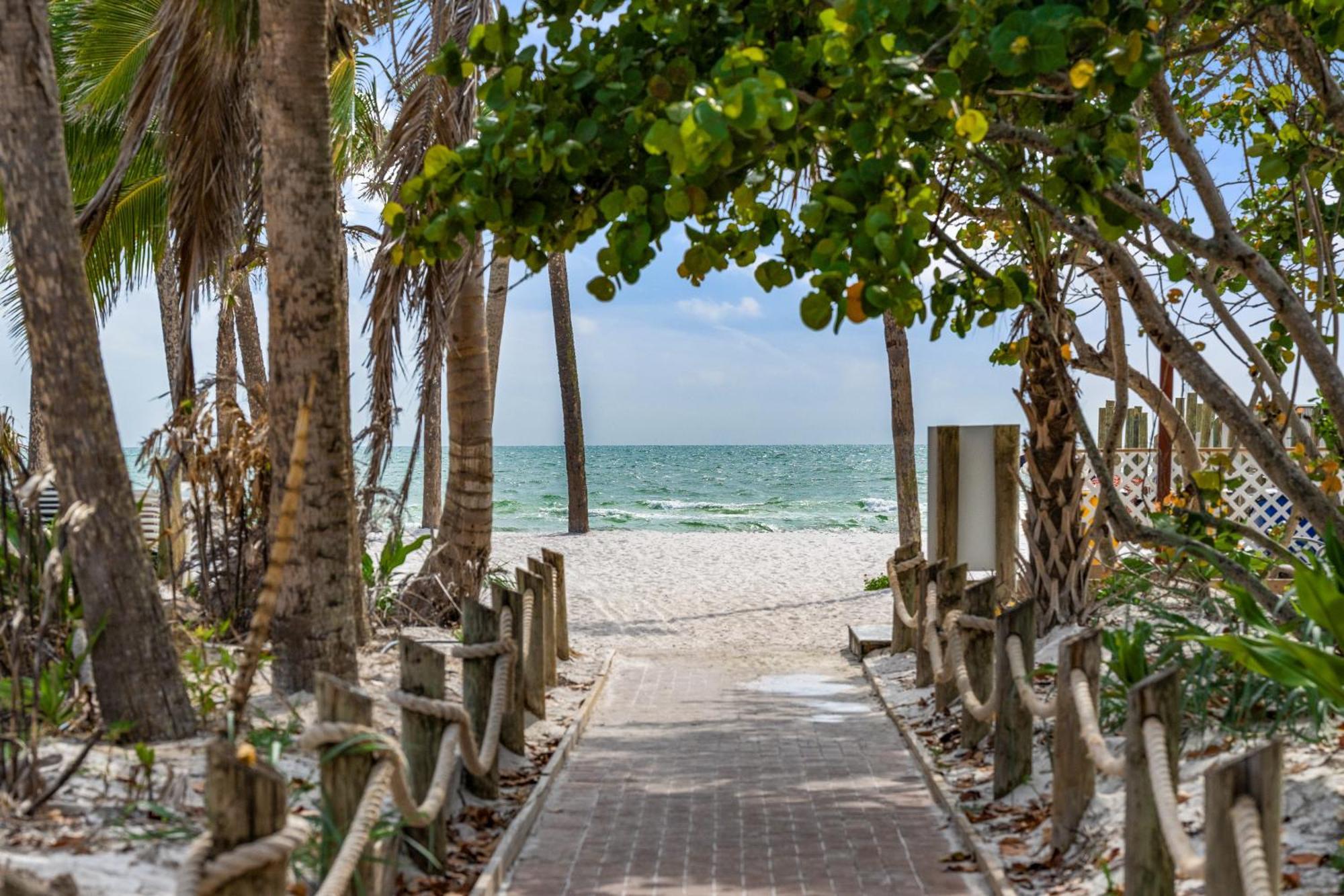 Tropical - Sarasota Siesta Key